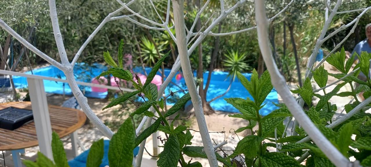 Luxury Loving Home Толо Екстер'єр фото